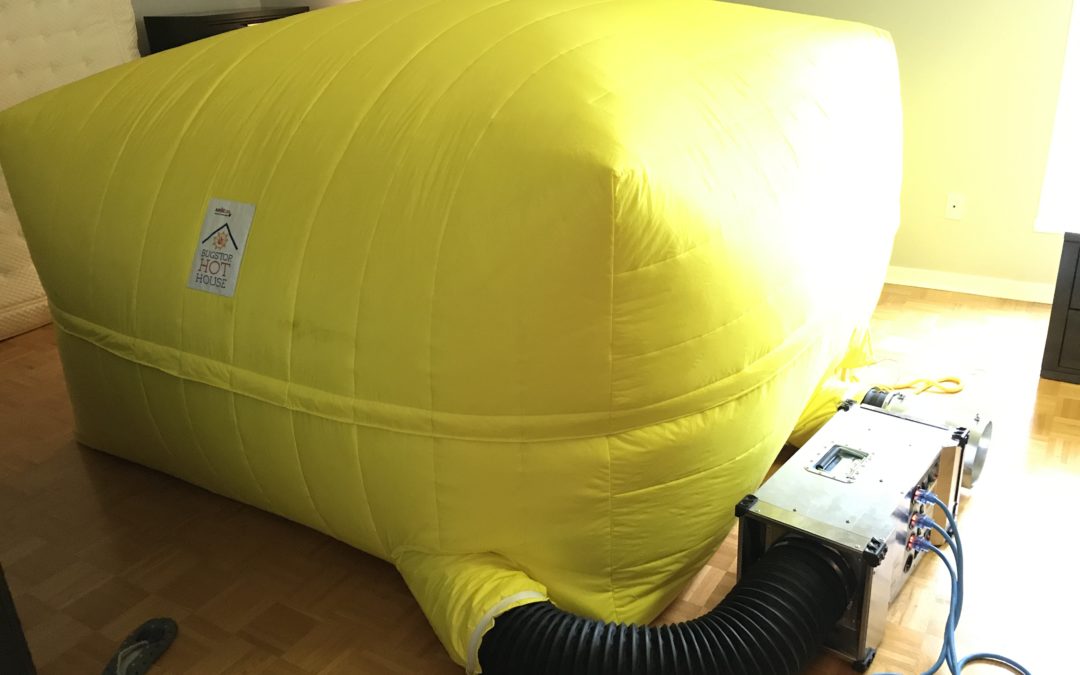 Le traitement des punaises de lit à la chaleur Solution Cimex