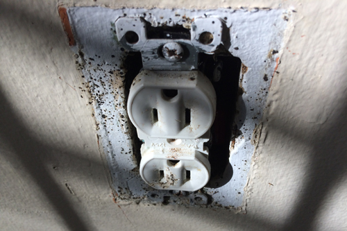 Punaises de lit dans les prises électriques