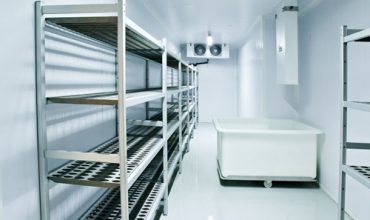 traitement punaise de lit congelation froid Solution Cimex