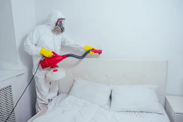 pest control worker lying on floor and spraying pe 