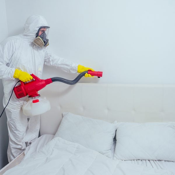 pest control worker lying on floor and spraying pe 2024 10 30 20 38 59 utc
